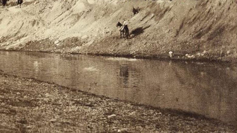 Backdrop image for movie Table Top Ranch