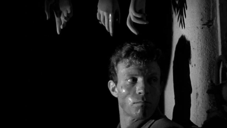 Backdrop image for movie Killer's Kiss