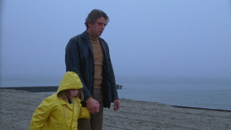 Backdrop image for movie A Day at the Beach