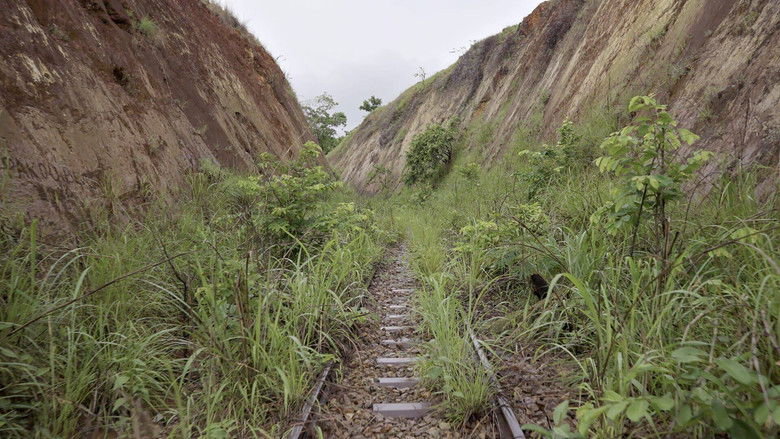 Backdrop image for movie Congo-Océan, un chemin de fer et de sang