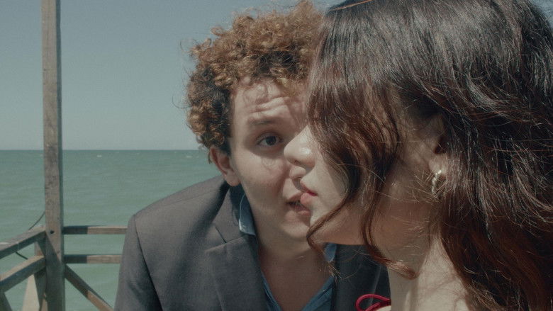 Backdrop image for movie Si está en su memoria, podemos llevarle