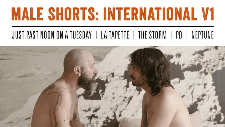 Backdrop image for movie Male Shorts: International V1