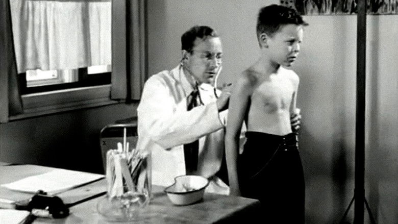 Backdrop image for movie Oslofilm: Summer Paradise