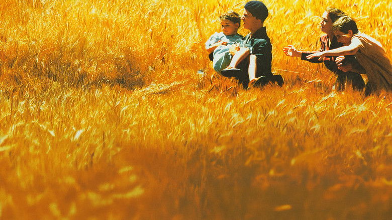 Backdrop image for movie Strayed