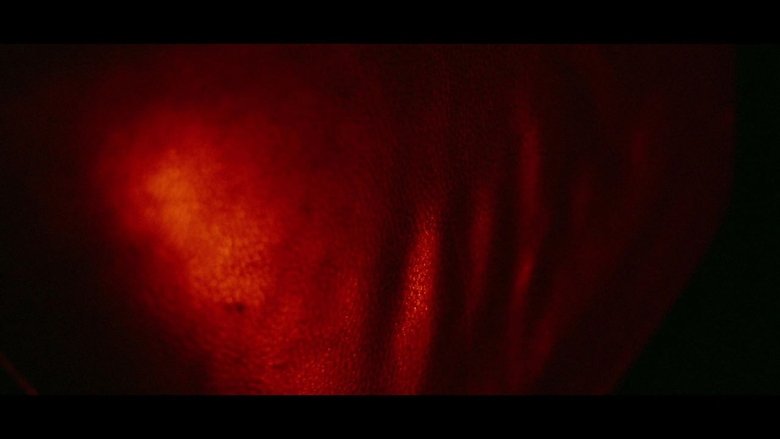 Backdrop image for movie Flesh, Board, and Nails