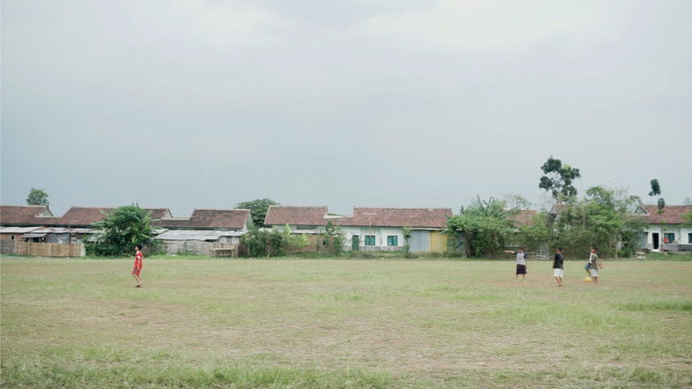 Backdrop image for movie Aphrodite Stereotype
