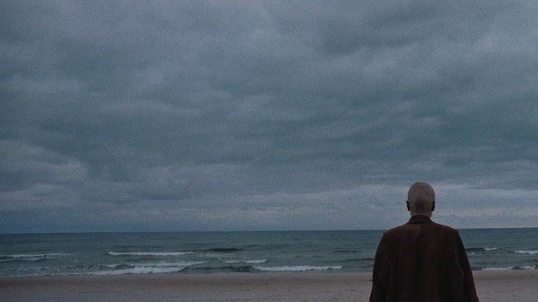 Backdrop image for movie First Last Summer
