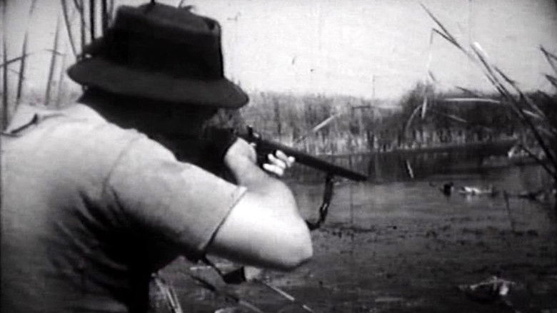 Backdrop image for movie Flight Above the Marshes