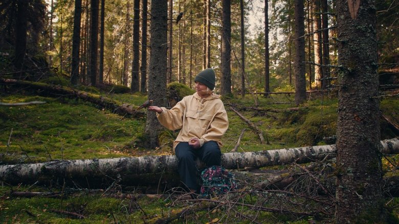Backdrop image for movie Once Upon a Time in a Forest