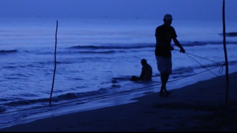 Backdrop image for movie Mr. Turtle