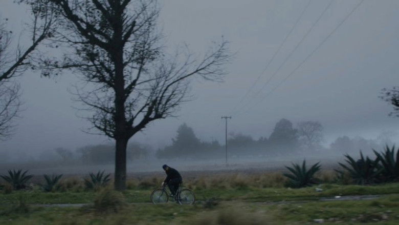 Backdrop image for movie Tempestad