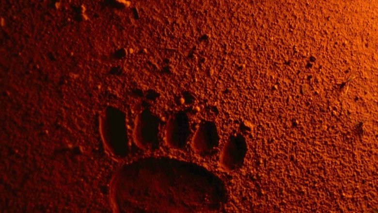 Backdrop image for movie Bears Discover Fire