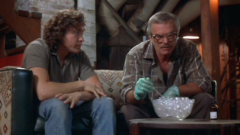 Backdrop image for movie Breaking In