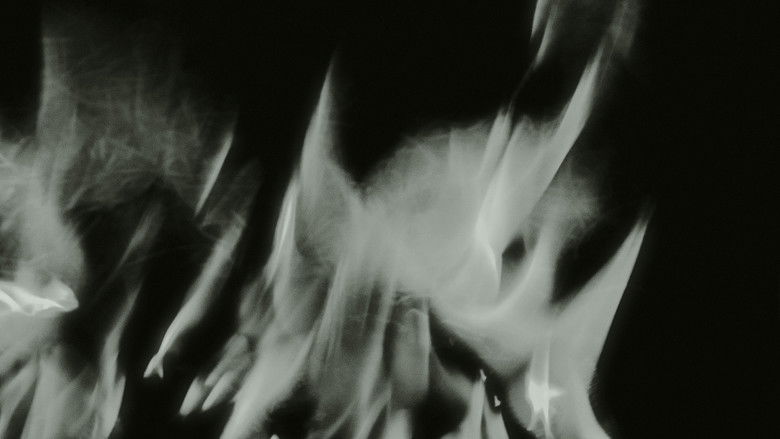 Backdrop image for movie Her Wings