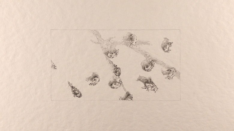 Backdrop image for movie The Dog’s Drama