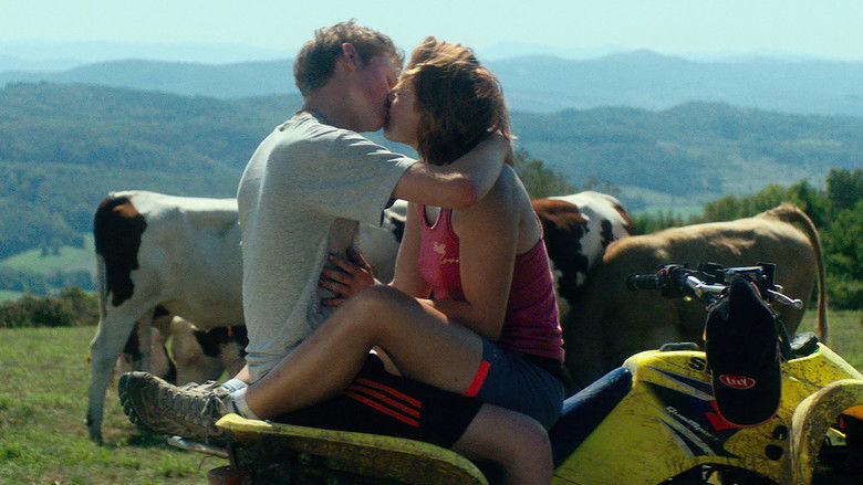 Backdrop image for movie Holy Cow