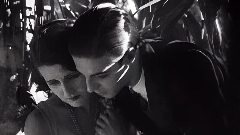 Backdrop image for movie Belezas Brasileiras