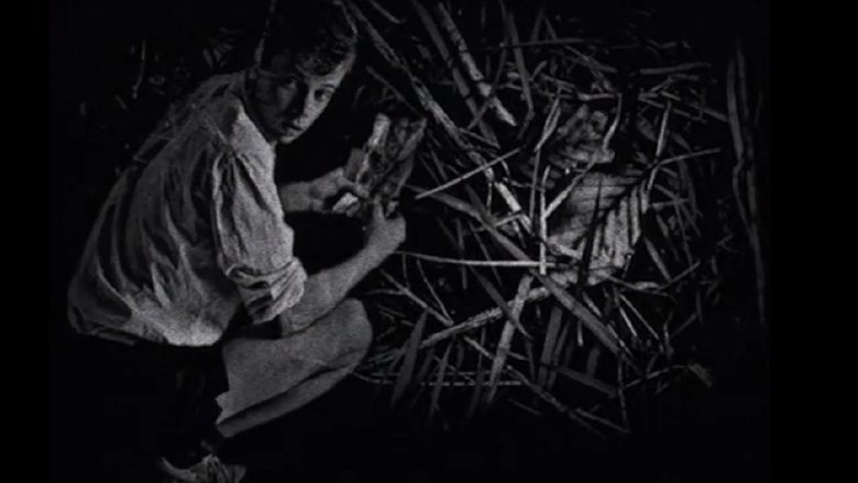 Backdrop image for movie End of Restriction