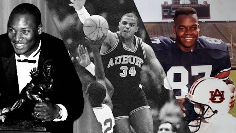 Backdrop image for movie Bo, Barkley and the Big Hurt