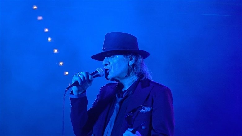 Backdrop image for movie Udo Lindenberg: Stärker als die Zeit - Live