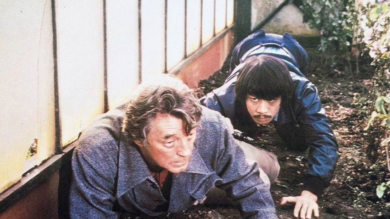 Backdrop image for movie The Amsterdam Kill