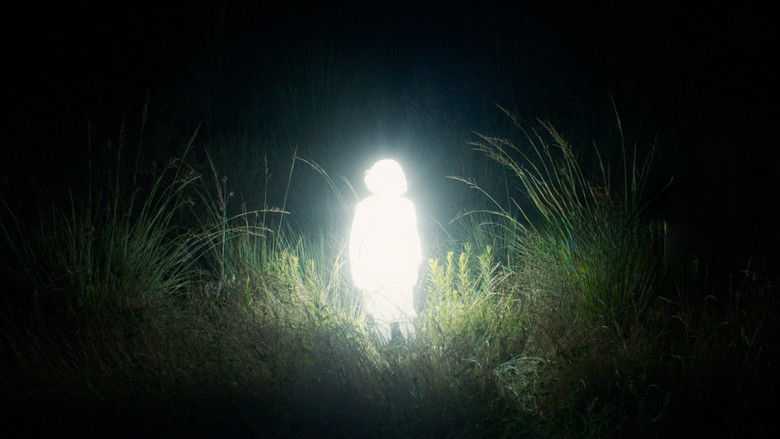 Backdrop image for movie Chronicles of a Wandering Saint