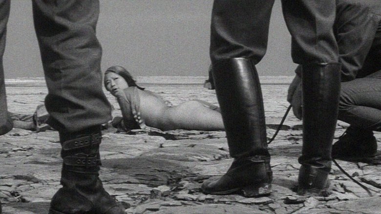 Backdrop image for movie Japanese Summer: Double Suicide