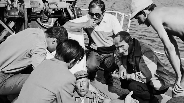 Backdrop image for movie The Cruise