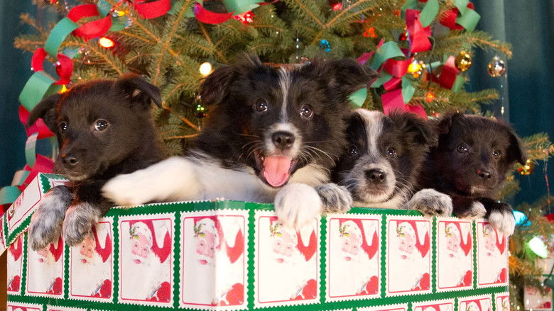 Backdrop image for movie 12 Dogs of Christmas: Great Puppy Rescue