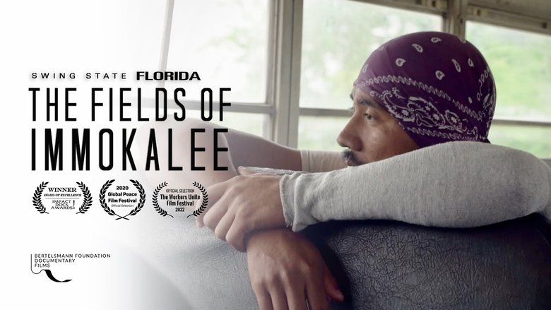 Backdrop image for movie The Fields of Immokalee