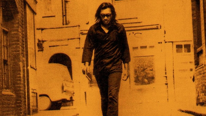 Backdrop image for movie Searching for Sugar Man