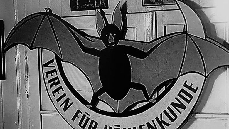 Backdrop image for movie Cave Explorers