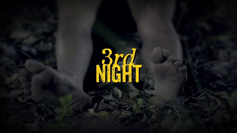 Backdrop image for movie 3rd Night