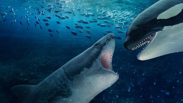 Backdrop image for movie Orca Vs. Great White