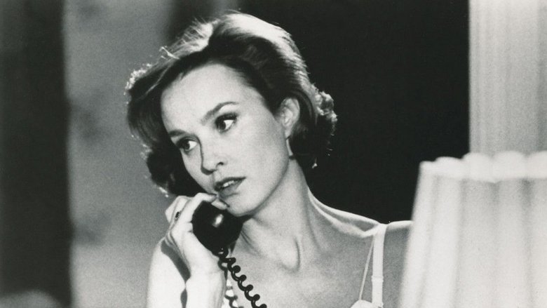 Backdrop image for movie Cat on a Hot Tin Roof