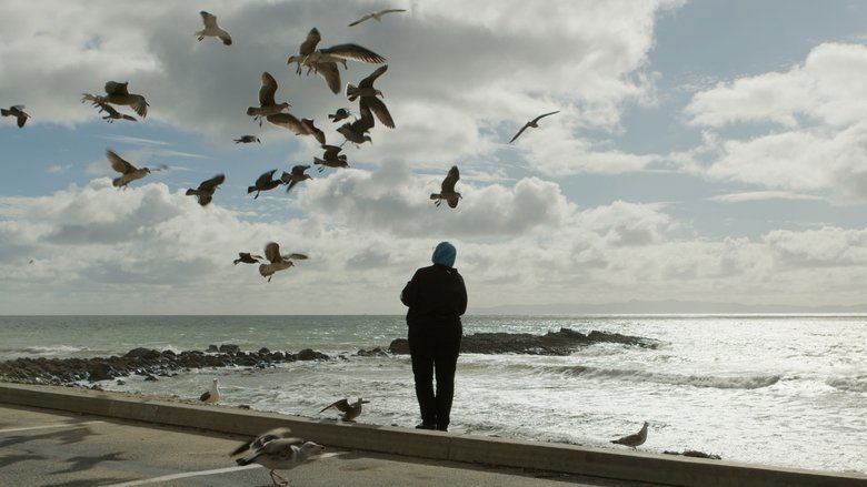 Backdrop image for movie California Light
