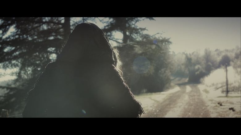 Backdrop image for movie The Portrait
