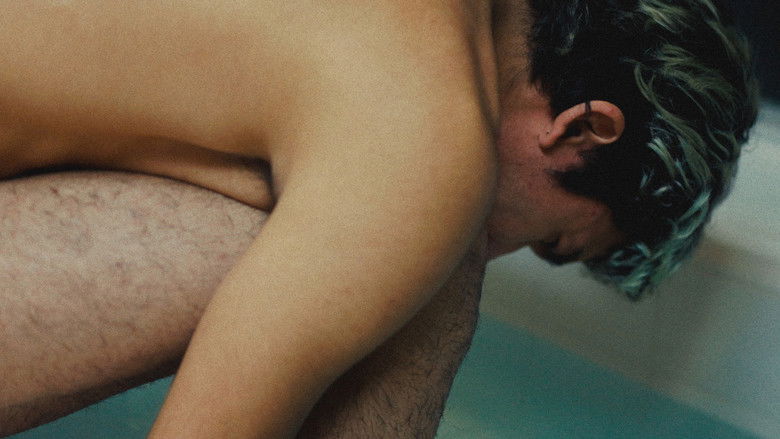 Backdrop image for movie The Normal Spaces