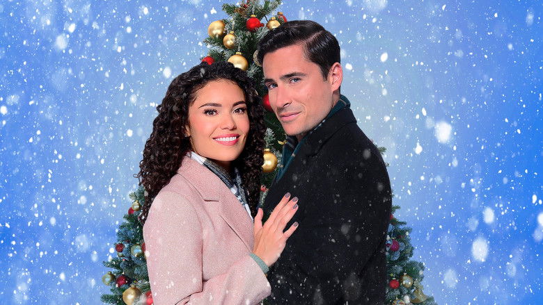 Backdrop image for movie Christmas on 5th Avenue