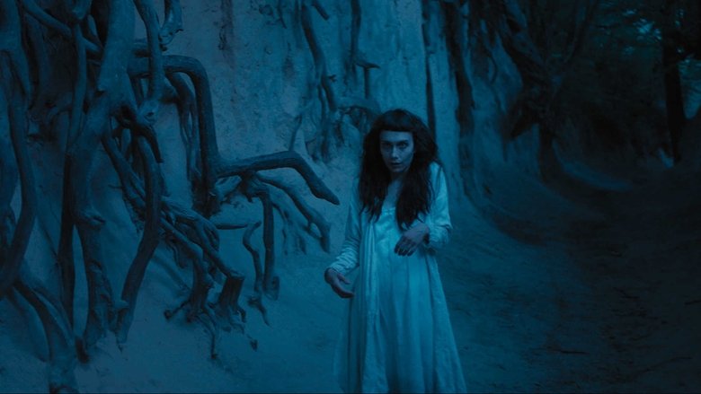 Backdrop image for movie The Field Guide to Evil