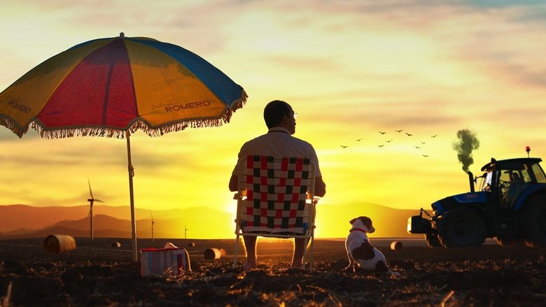 Backdrop image for movie Historias lamentables