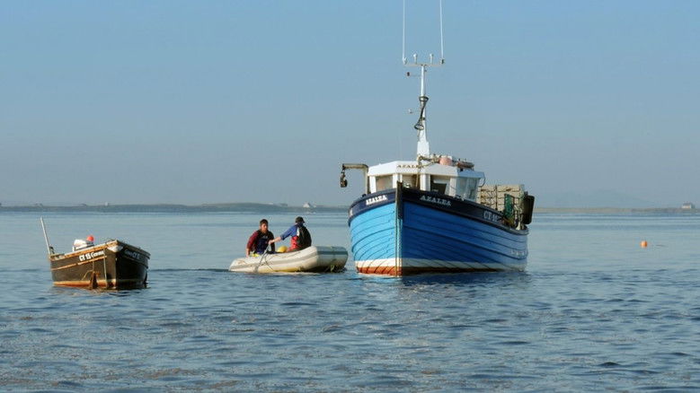 Backdrop image for movie Boat Song