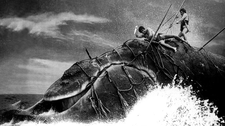 Backdrop image for movie The Whale God