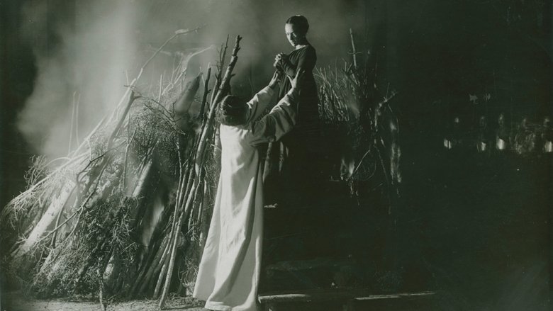 Backdrop image for movie Love's Crucible