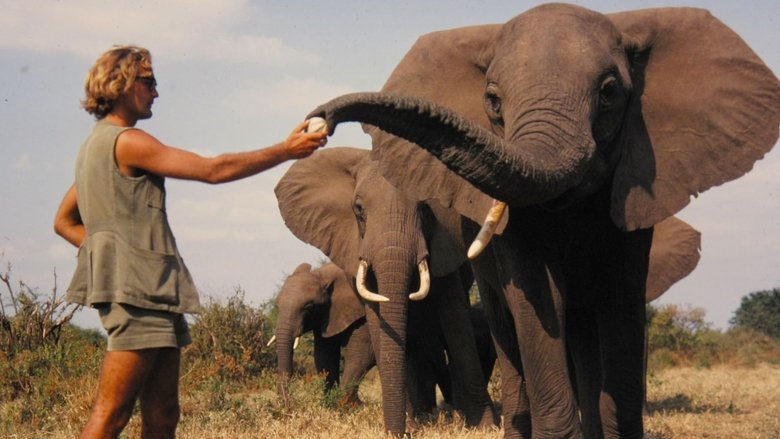 Backdrop image for movie A Life Among Elephants