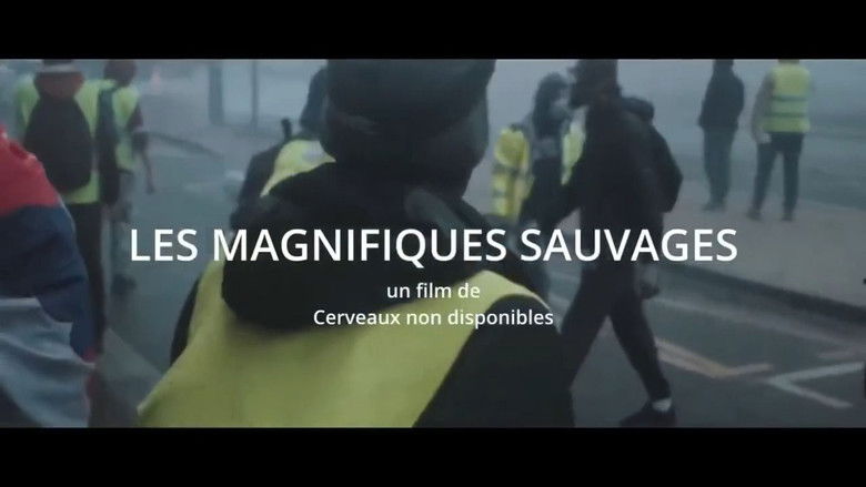 Backdrop image for movie Les Magnifiques sauvages
