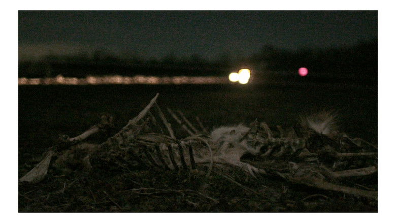 Backdrop image for movie Roadkill