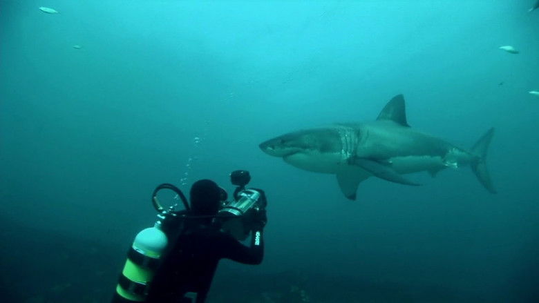 Backdrop image for movie Great White Shark: A Living Legend