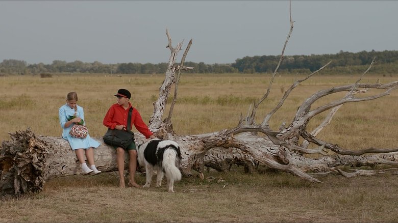 Backdrop image for movie The Brave Adventures of a Little Shoemaker