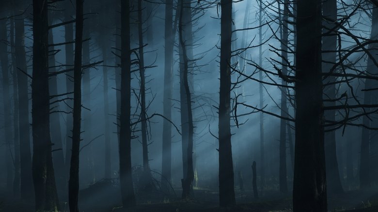 Backdrop image for movie Feral